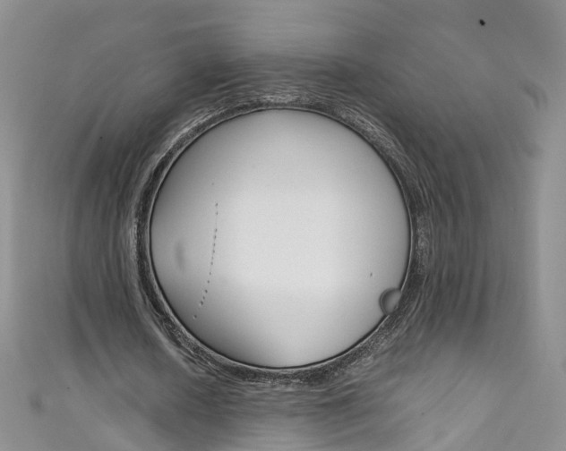 X0000111430626200907131041