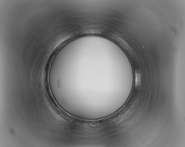 X0000111430627200907131041