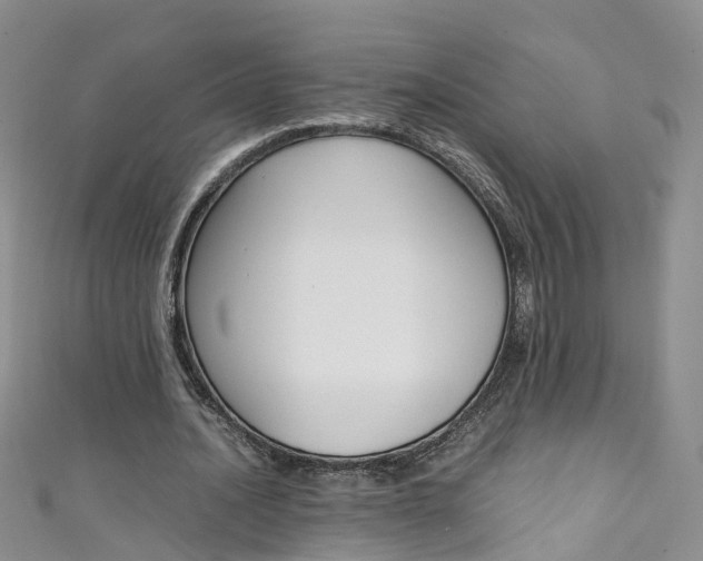 X0000111430628200907131041
