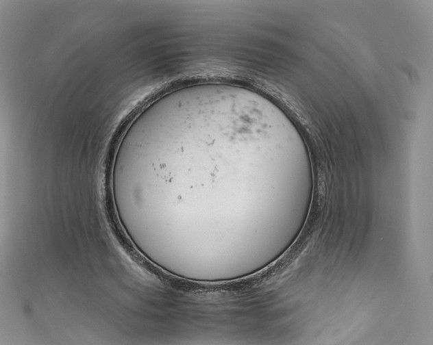 X0000111430629200907131041
