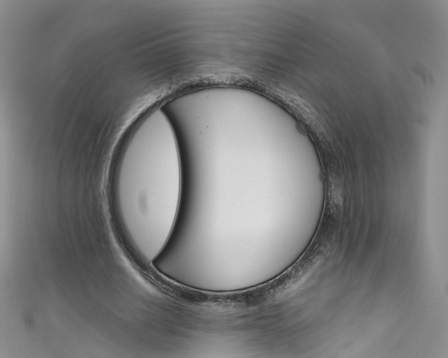 X0000111430630200907131041