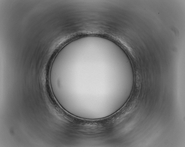 X0000111430631200907131041