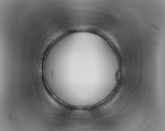 X0000111430633200907131041