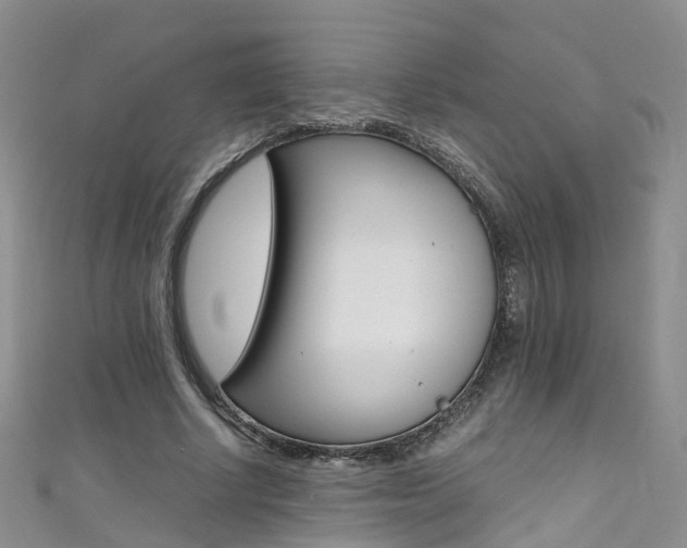 X0000111430634200907131041