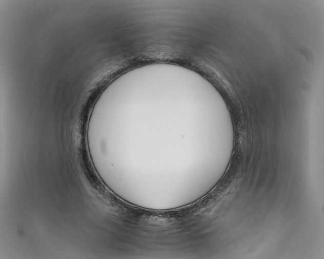 X0000111430635200907131041