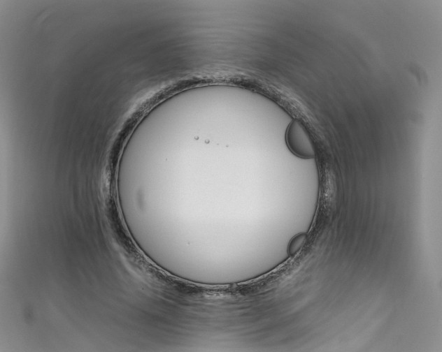 X0000111430636200907131041