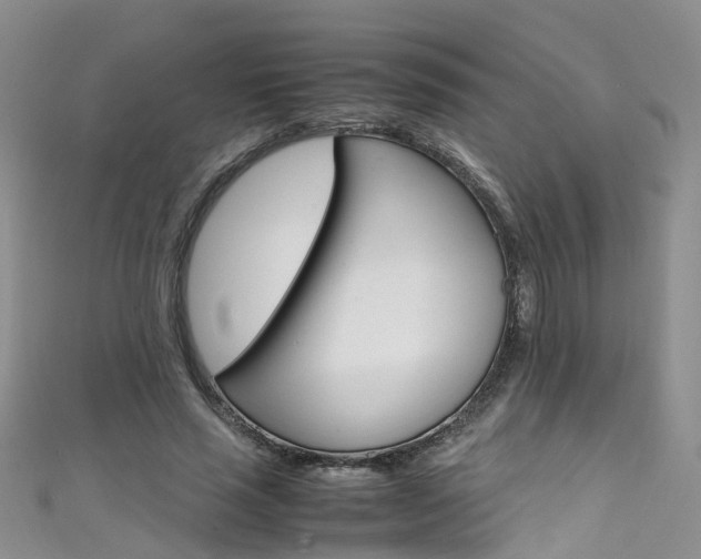 X0000111430637200907131041