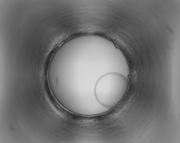 X0000111430638200907131041