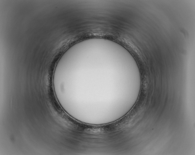 X0000111430639200907131041