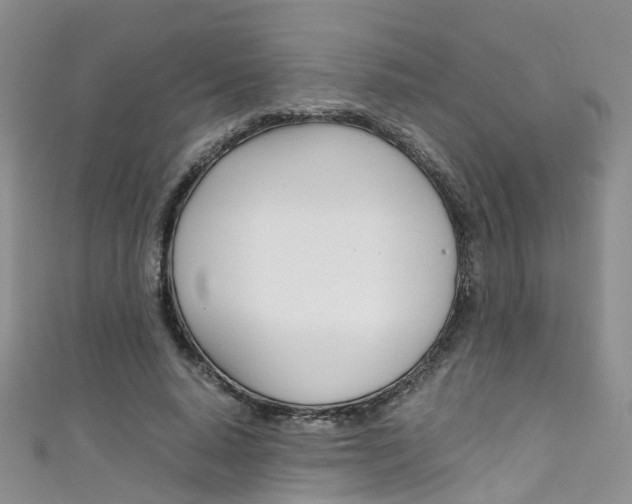 X0000111430640200907131041