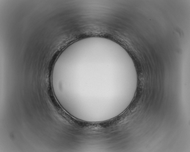 X0000111430642200907131041