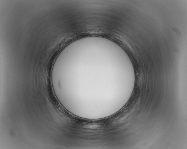 X0000111430643200907131041