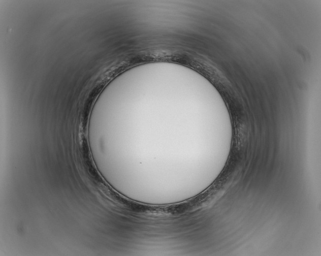 X0000111430644200907131041