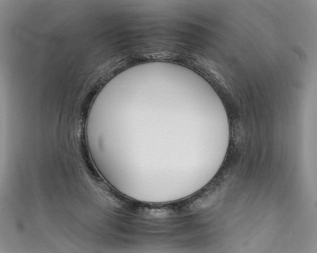 X0000111430645200907131041