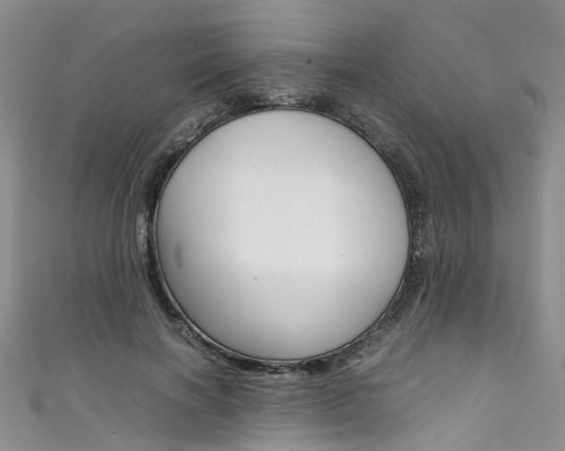X0000111430646200907131041