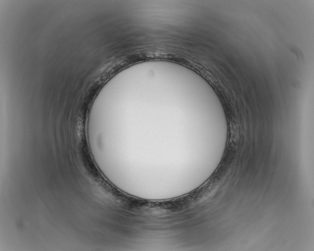 X0000111430648200907131041