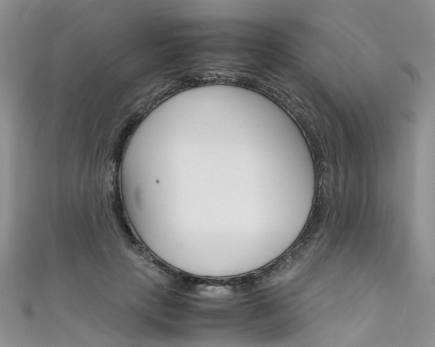X0000111430649200907131041