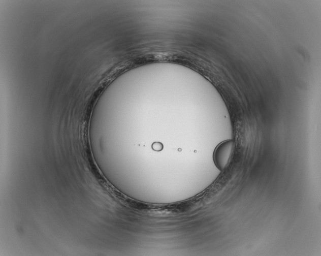 X0000111430650200907131041