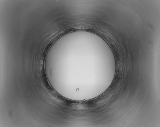 X0000111430652200907131041