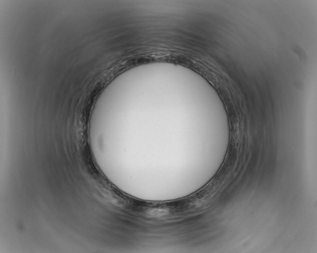 X0000111430653200907131041