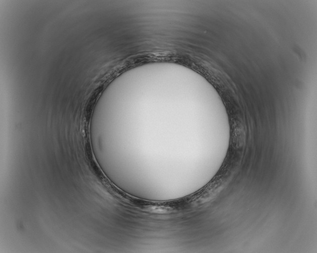 X0000111430654200907131041