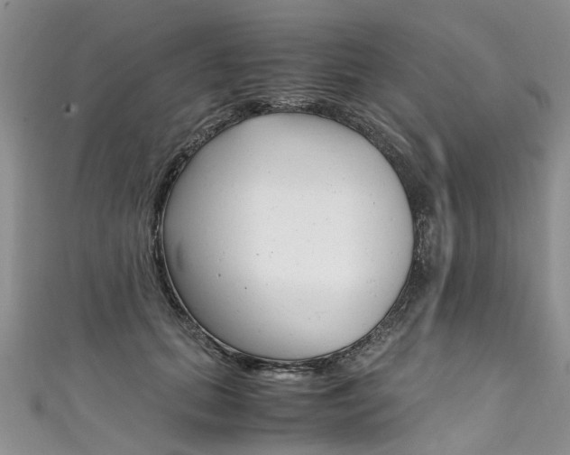 X0000111430655200907131041