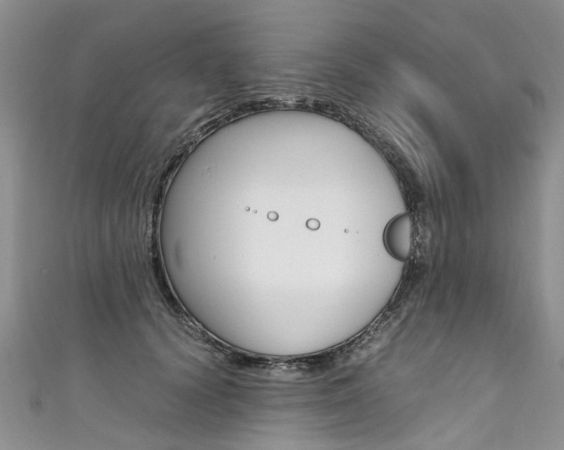 X0000111430656200907131041