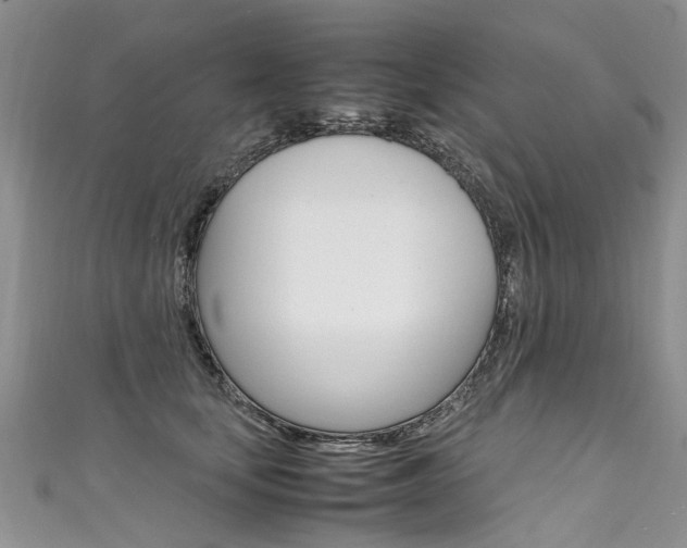 X0000111430659200907131041