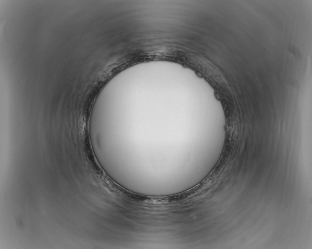 X0000111430660200907131041