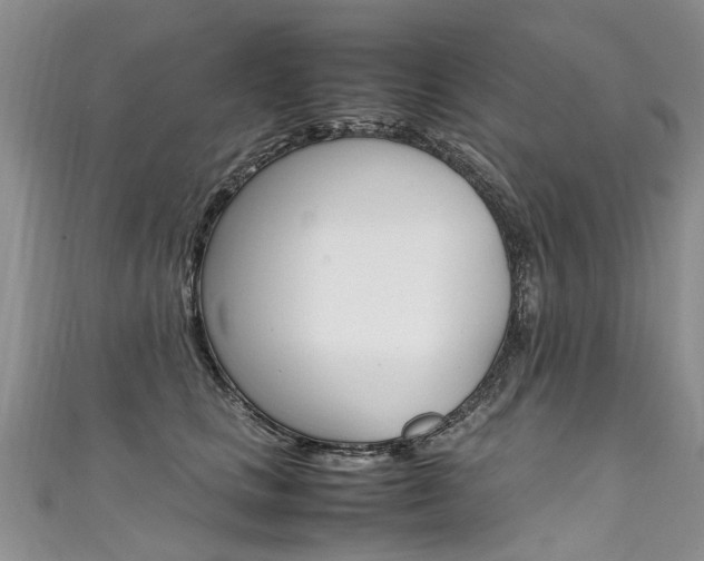 X0000111430661200907131041
