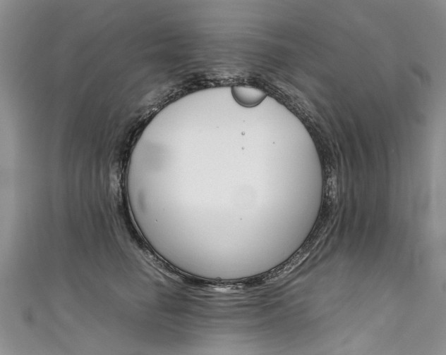 X0000111430662200907131041