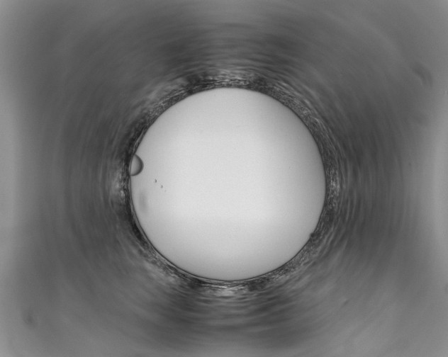 X0000111430663200907131041