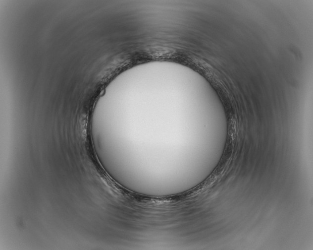 X0000111430664200907131041