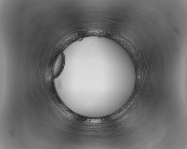 X0000111430665200907131041