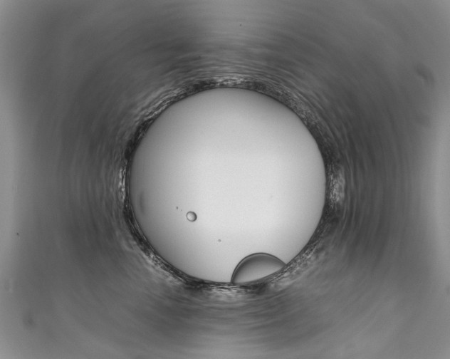 X0000111430666200907131041
