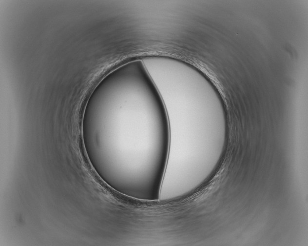 X0000111430673200907131041