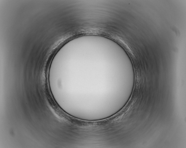 X0000111430674200907131041