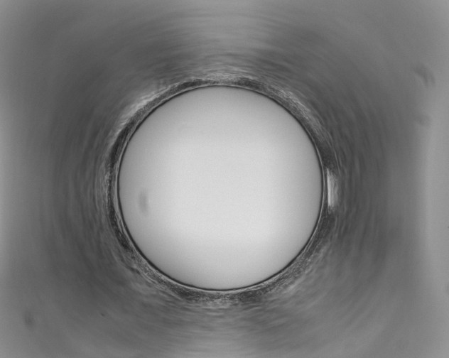 X0000111430675200907131041