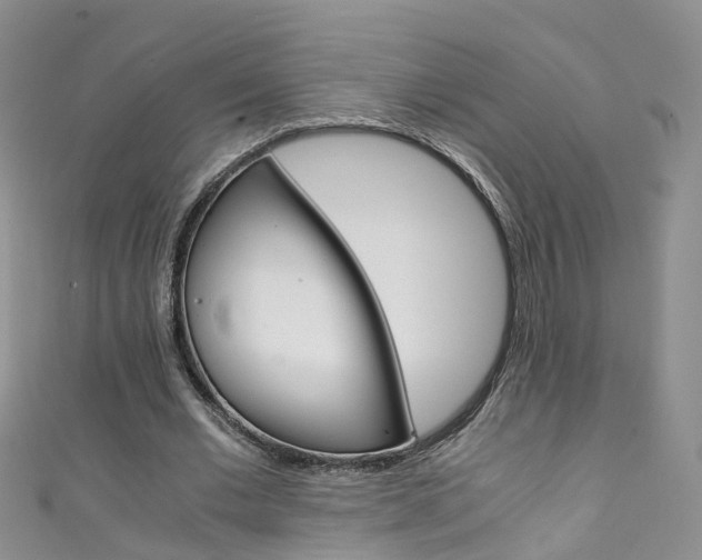 X0000111430677200907131041