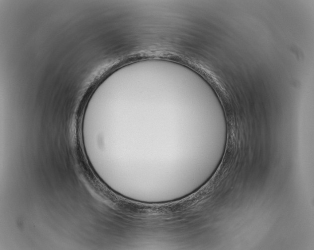 X0000111430678200907131041