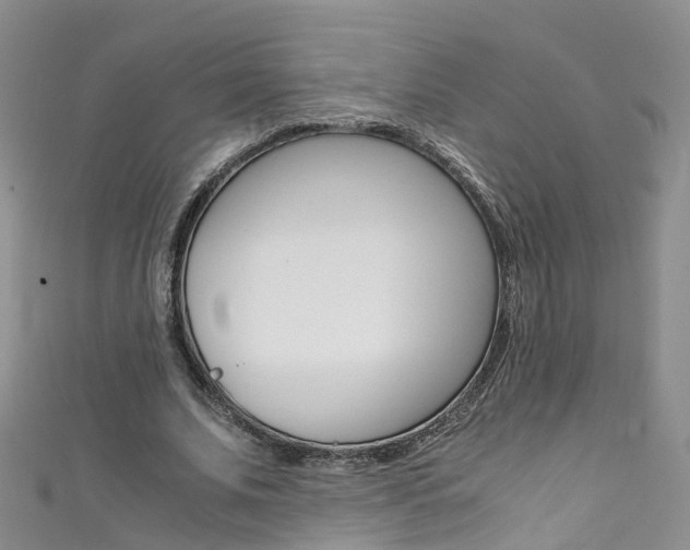 X0000111430679200907131041