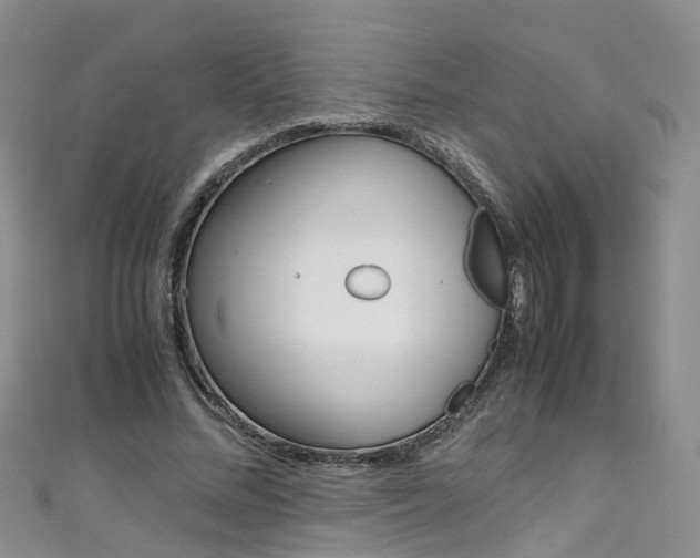 X0000111430684200907131041
