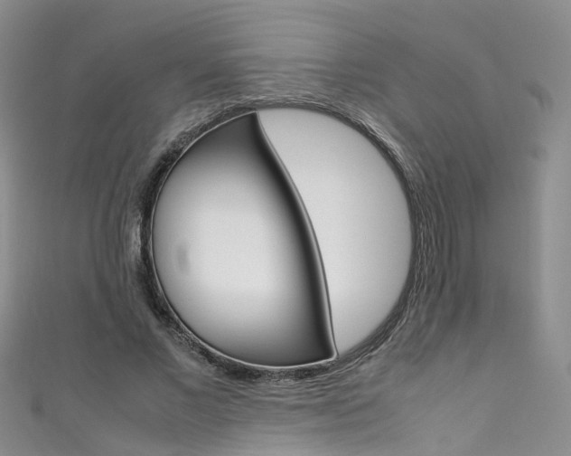 X0000111430685200907131041
