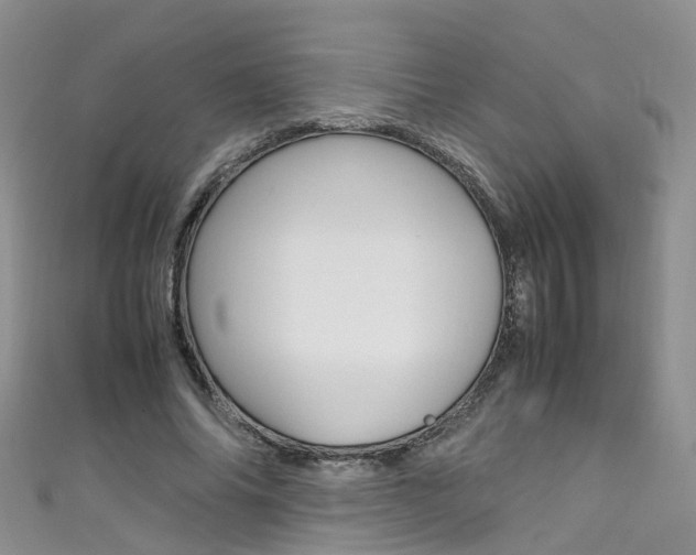 X0000111430686200907131041