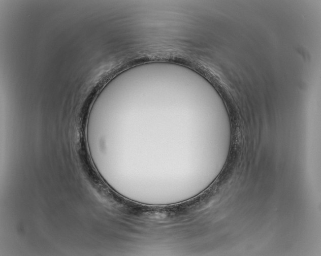 X0000111430687200907131041