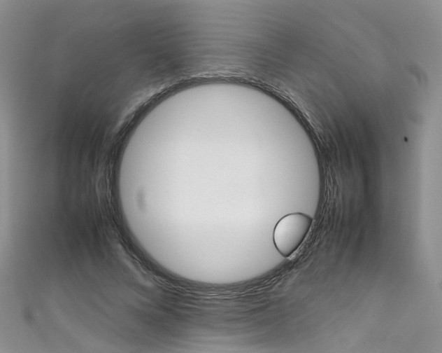 X0000111430688200907131041