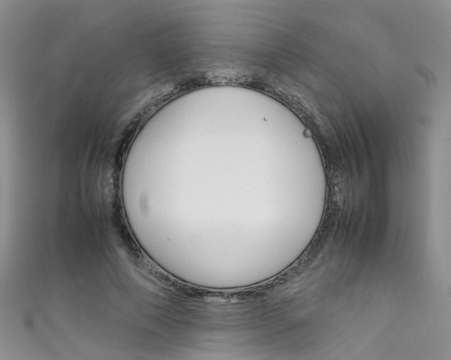 X0000111430690200907131041