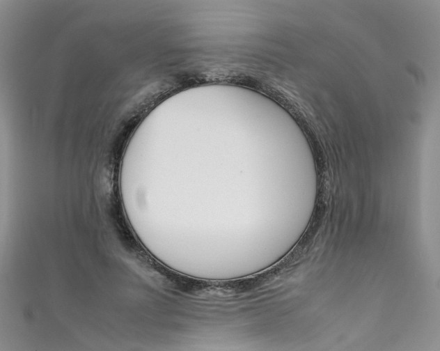 X0000111430691200907131041
