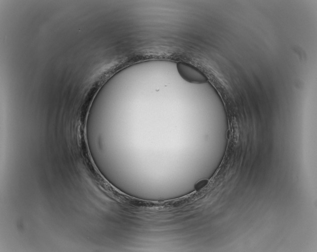 X0000111430692200907131041