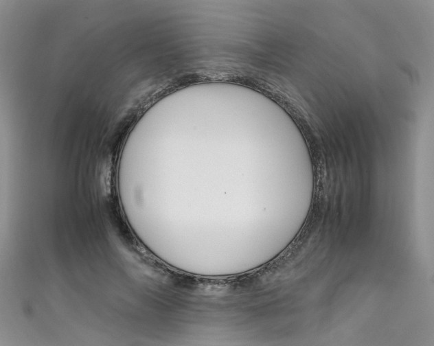 X0000111430694200907131041